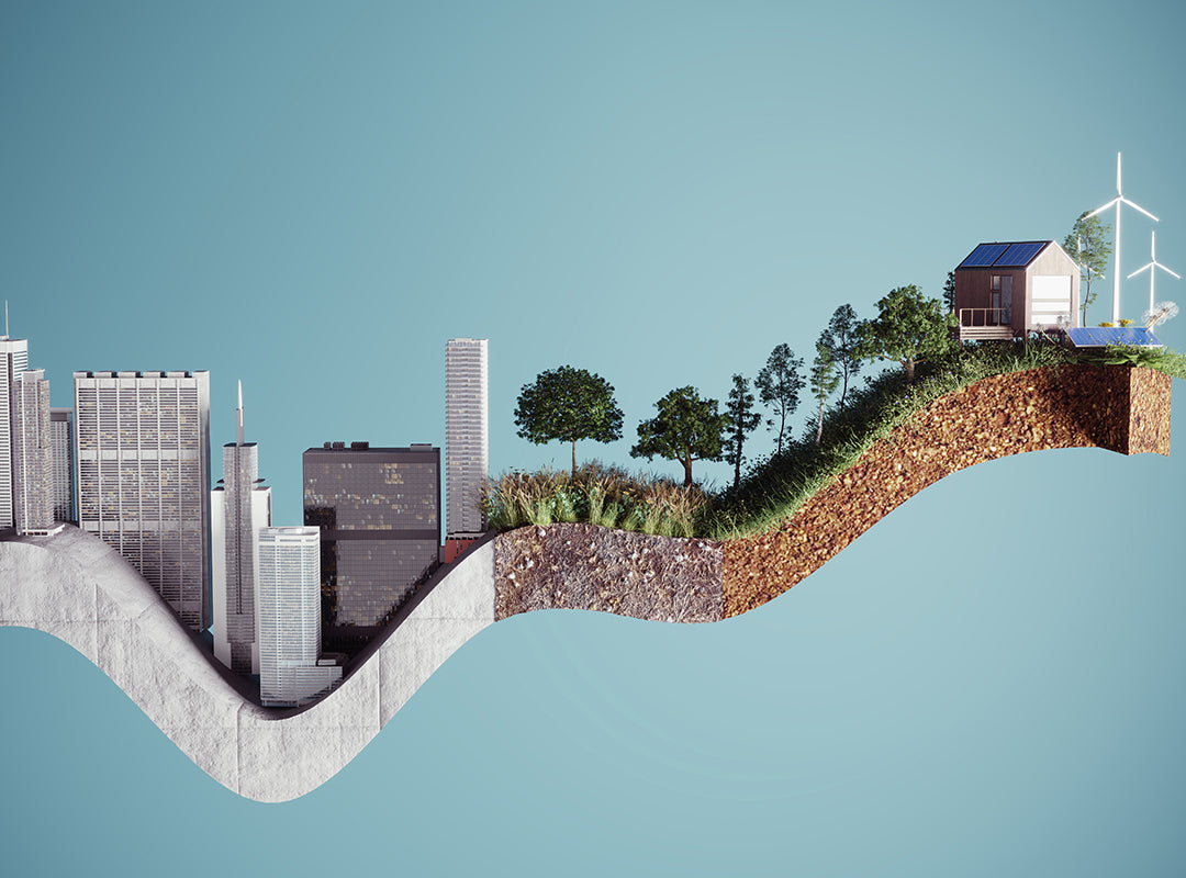 Our Environmental Advocacy: Green Power, Bright Future